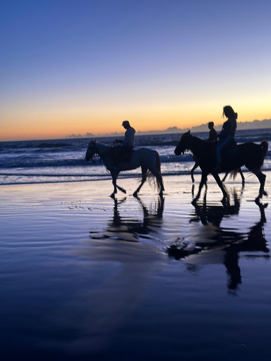 Sunset Horse Riding